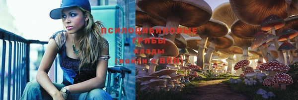 кокс Абаза