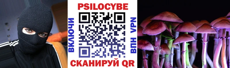 Галлюциногенные грибы Psilocybe  kraken зеркало  Иваново  продажа наркотиков 